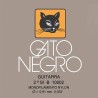 2ª CUERDA CLÁSICA (SI) GATO NEGRO NYLON CLARO