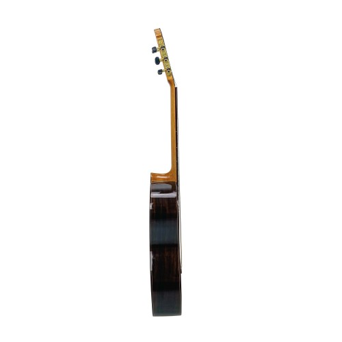 ▷ Guitarra Clásica José Gómez C-60 con tapa de Cedro