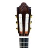 Guitarra Flamenca Camps FL-11C Pro Blend Electrificada