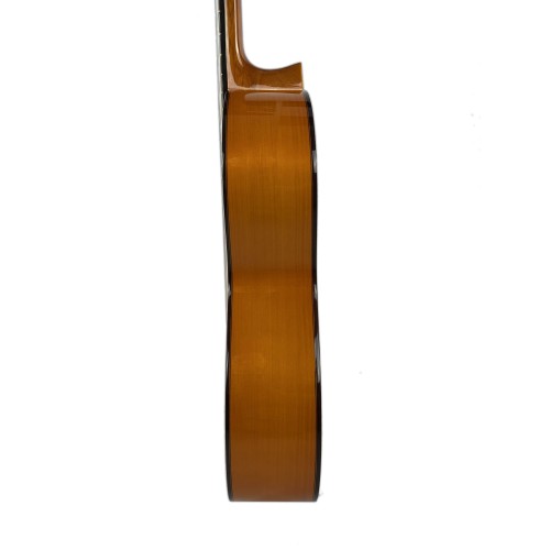 Guitarra Amalio Burguet FDV
