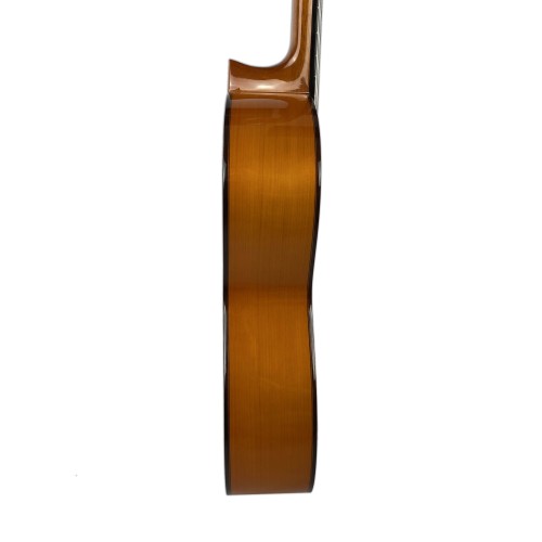 Guitarra Amalio Burguet FDV