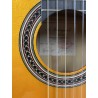 Guitarra Amalio Burguet FDV
