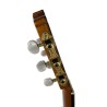 Guitarra Amalio Burguet FDV