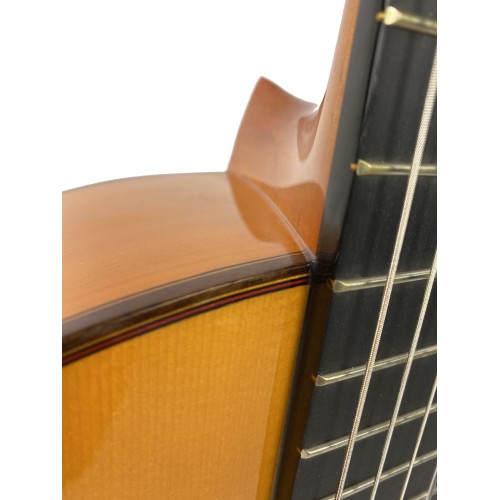 Guitarra Amalio Burguet FDV
