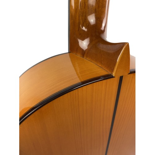 Guitarra Amalio Burguet FDV