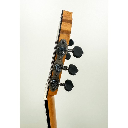 Guitarra de Mario Busto 2023