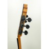 Guitarra de Mario Busto 2023