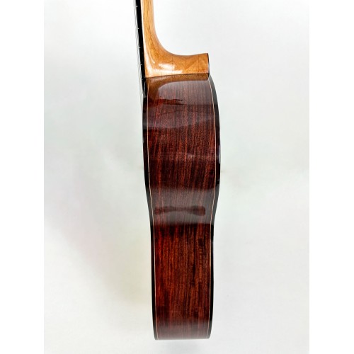 Guitarra de Mario Busto 2023
