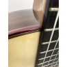Guitarra Fernando Caldera Aniversario 2020