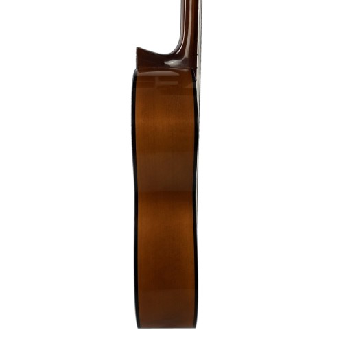 Guitarra Fernando Caldera "La Leona"